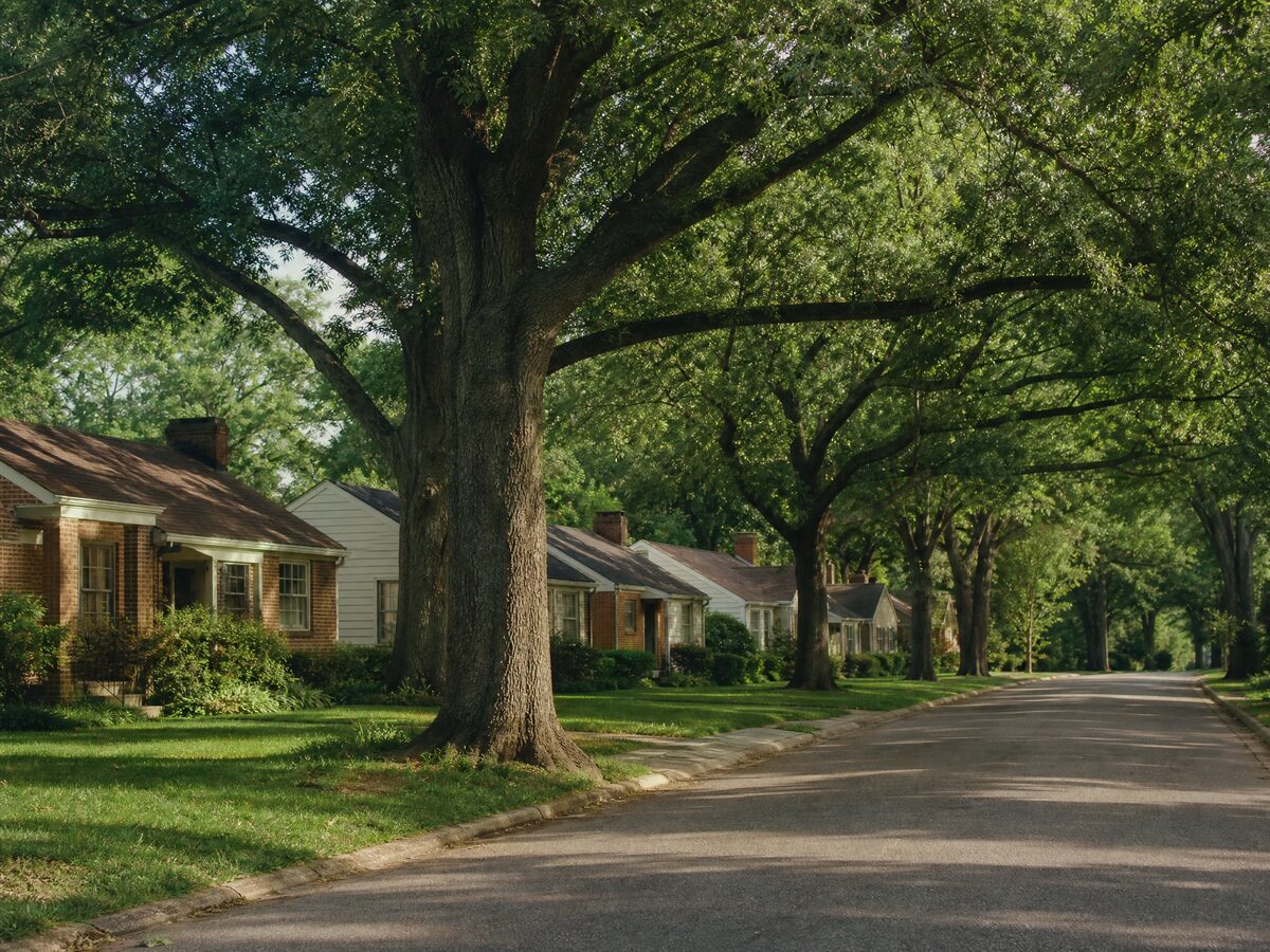 A quiet Memphis residential street lined with modest single story houses under large mature oak trees.